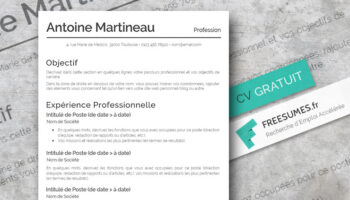 modele cv conservateur