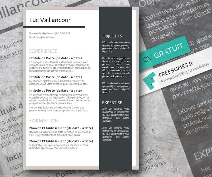 modele cv la mise en page efficace