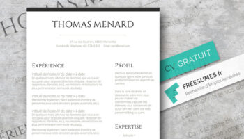 modele cv professsionel